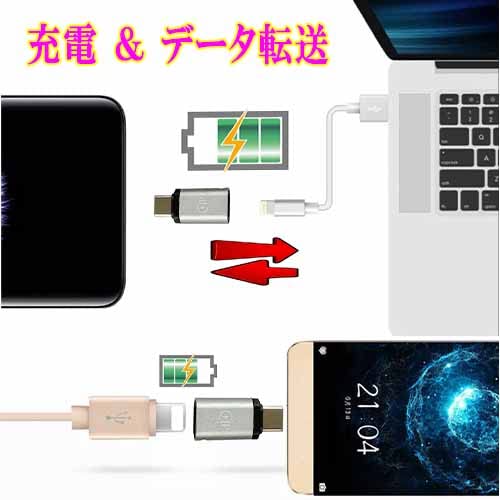 Amazon.co.jp: Lumen ルーメン Lightningメス ⇒ USB Type-Cオス 変換